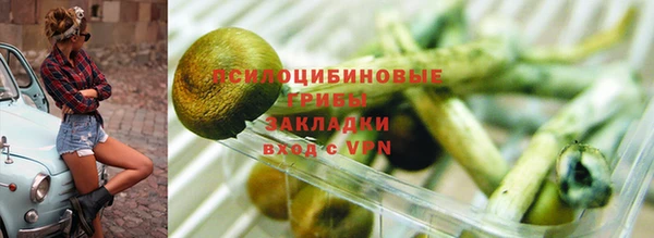 крисы Ижевск