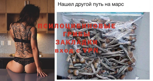крисы Ижевск