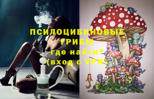 крисы Ижевск