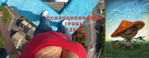 крисы Ижевск