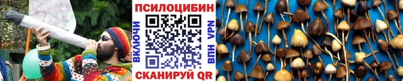 Галлюциногенные грибы Psilocybe  продажа наркотиков  Сызрань 