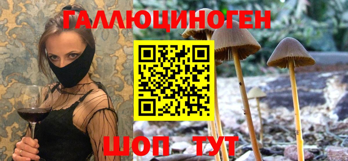 Псилоцибиновые грибы GOLDEN TEACHER  Вход с VPN  Сызрань  Галлюциногенные грибы Psilocybe 