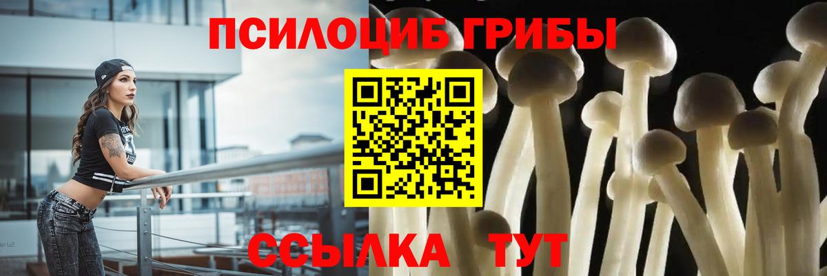 Галлюциногенные грибы Psilocybe Сызрань